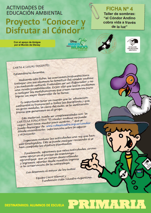 Fichas actividades cóndor andino
