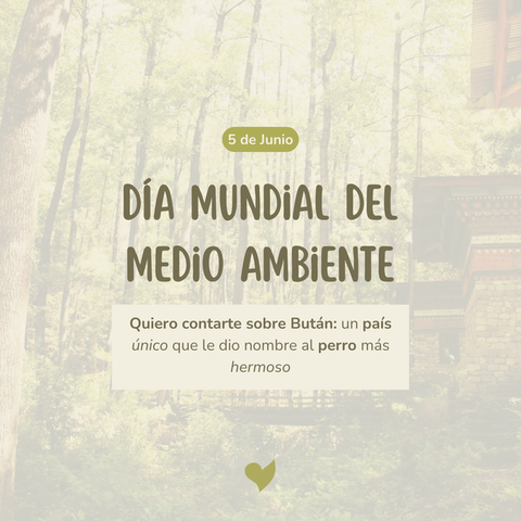 Cómo no mencionarlos en el Día Mundial del Medio Ambiente