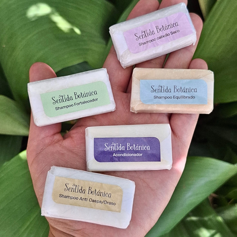 Muestras shampoo y acondicionador sólidos