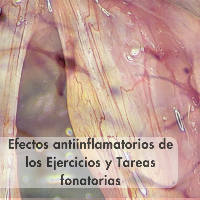 Efectos antiinflamatorios de los Ejercicios y Tareas fonatorias