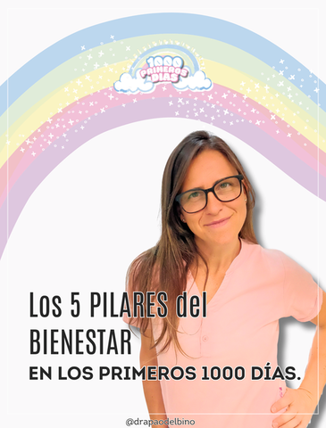 LOS 5 PILARES DEL BIENESTAR EN LOS PRIMEROS 1000 DIAS.