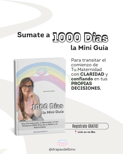 1000 Días: La Mini Guía