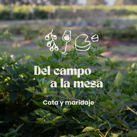 Del campo a la mesa: Cata y Maridaje