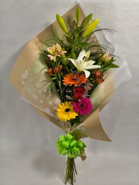 Ramo (Abanico de Vida)