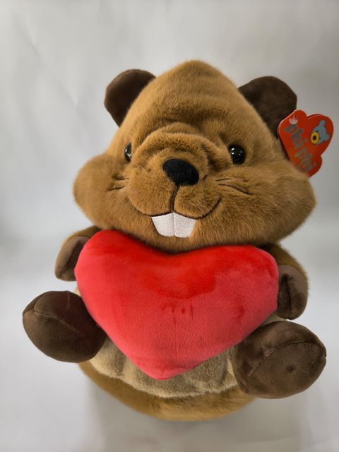 Castor con corazón 