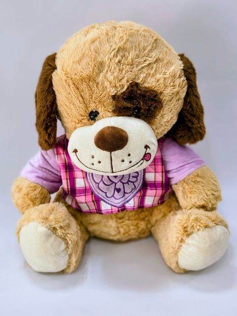 Perro con ropa ( de 35 cm )