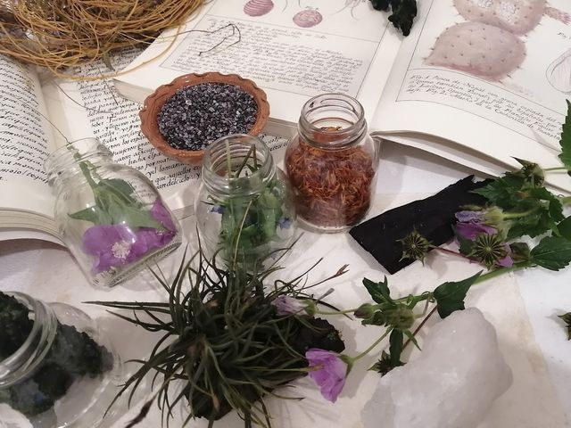 Tintes Naturales del México Prehispánico: Nocheztli, Xiuhquilitl   y  otras especies  