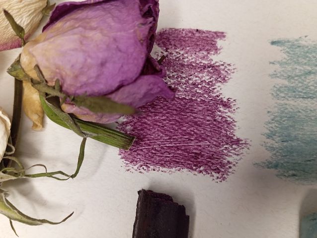 In Tlilli, in Tlapalli  Especialidad en pigmentos naturales 2025 - 2026