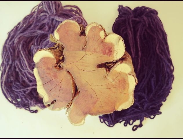 Tliltic Tlapalli : Especialidad en Pigmentos Naturales y Minerales 2025 - 2026