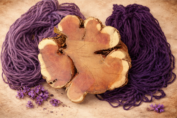 Tliltic Tlapalli : Especialidad en Pigmentos Naturales y Minerales 2025 - 2026