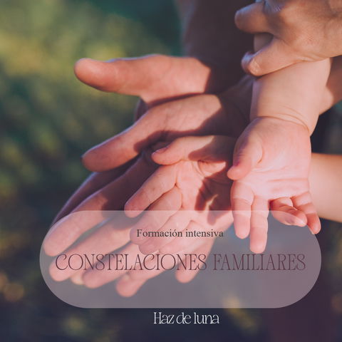 FORMACIÓN INTENSIVA EN CONSTELACIONES FAMILIARES.