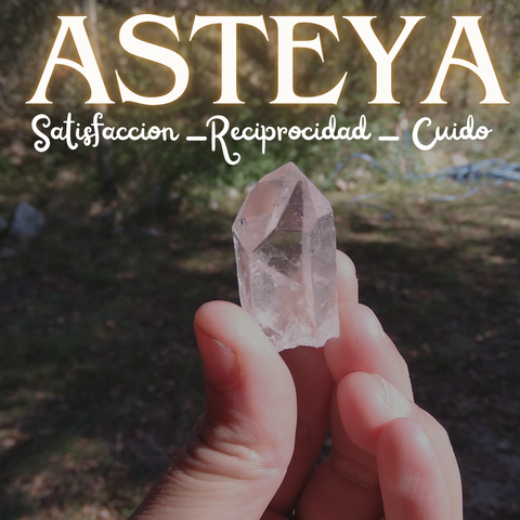 ASTEYA - Satisfaccion, Reciprocidad y Cuido