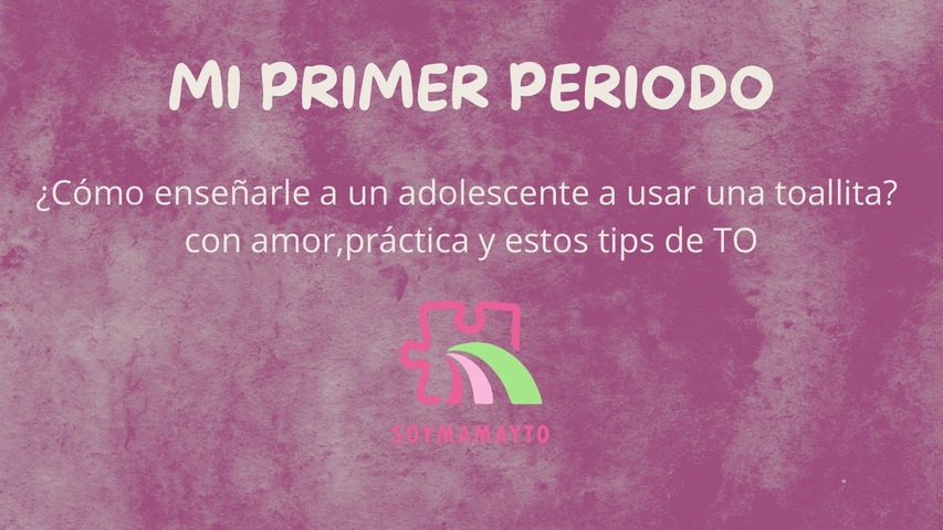 GUIA MI PRIMER PERIODO