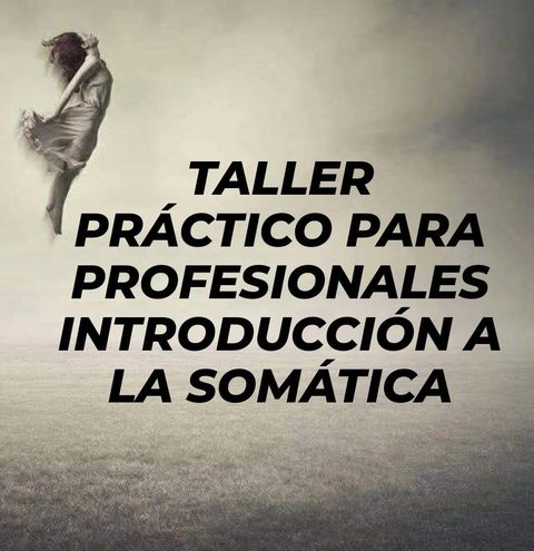 Taller Práctico Introducción a la Somática para Profesionales 