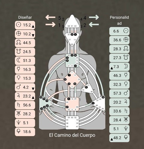 El Camino del Cuerpo Edición Diseño Humano 