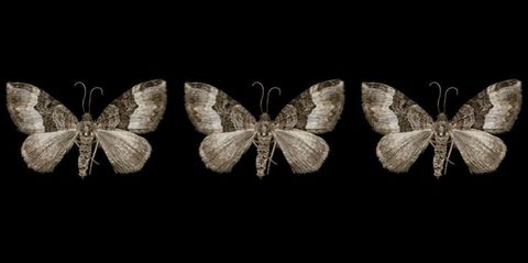 La diferencia no se busca