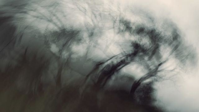 Desfasaje del Arquetipo