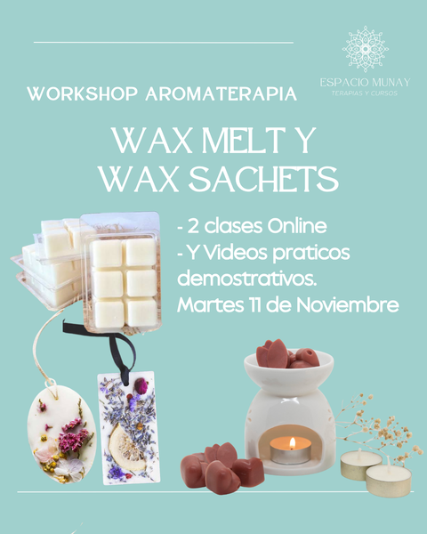 Workshop Wax Melt (bombones y perfumadores Aromaticos) 