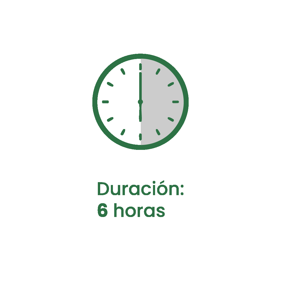 Duración del curso: 6 horas