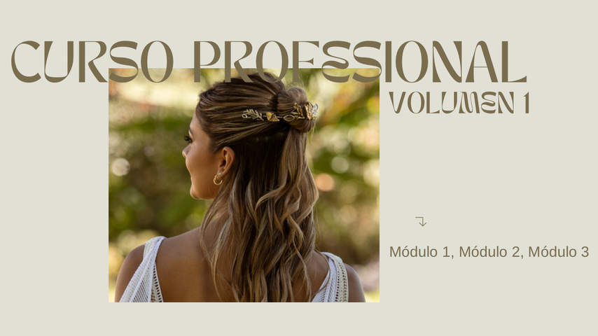 CURSO PROFESIONAL volumen 1
