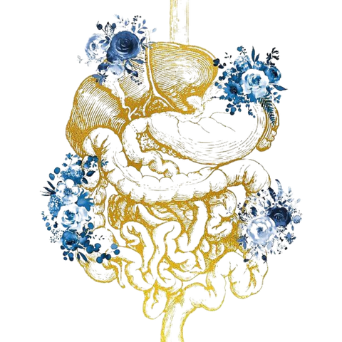 Protocolo de Hongo Cándida & desparasitación.