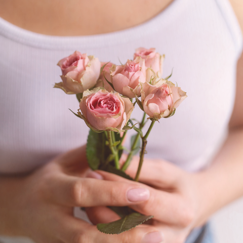 Camino a la Fertilidad