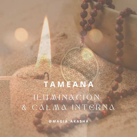 Curso Tameana: Iluminación & Calma Interna