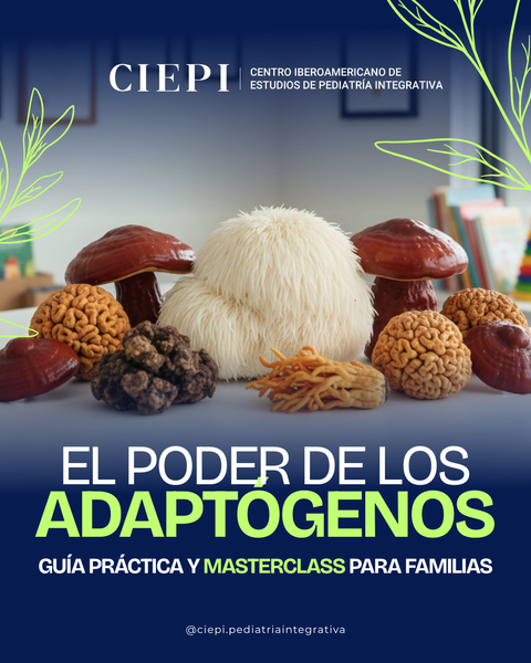 Combo: El poder de los adaptógenos