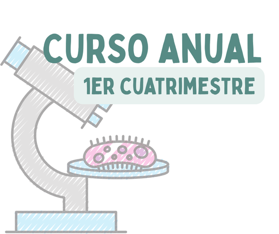 Curso Anual | Primer Cuatrimestre