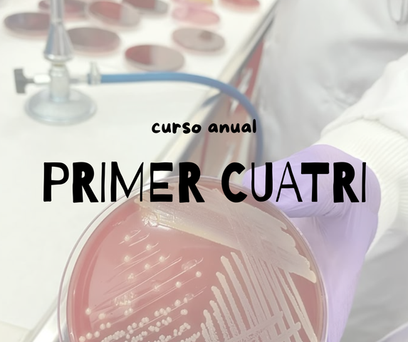 Curso Anual | Primer Cuatrimestre