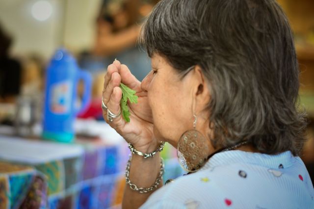 Fitoterapia