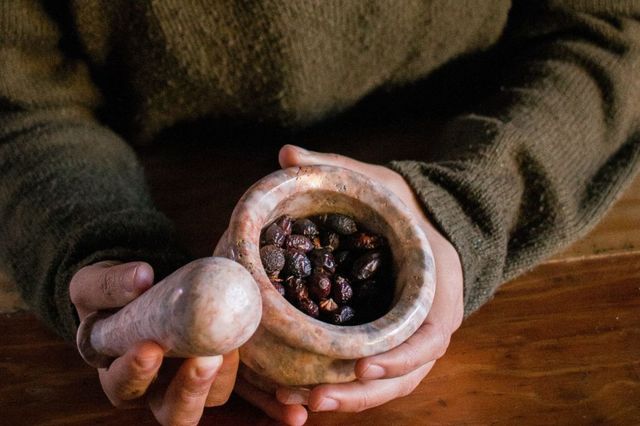 Rosa mosqueta y vitamina C
