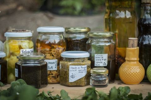 Formación Herbolaria – De que se trata y una invitación a sumarte