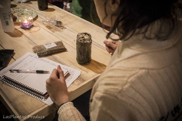 Interacciones entre plantas y medicamentos