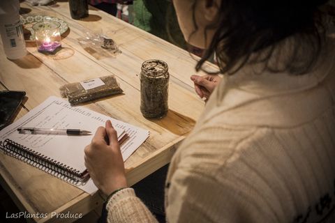 Interacciones entre plantas y medicamentos