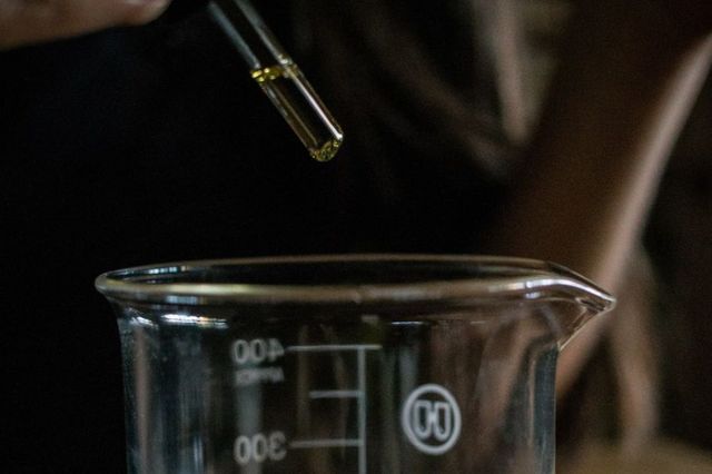 Aceites esenciales, que tener en cuenta sobre ellos