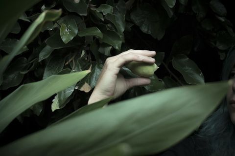 Sistema inmunitario, sus bases y consejos para sostenerlo en equilibrio