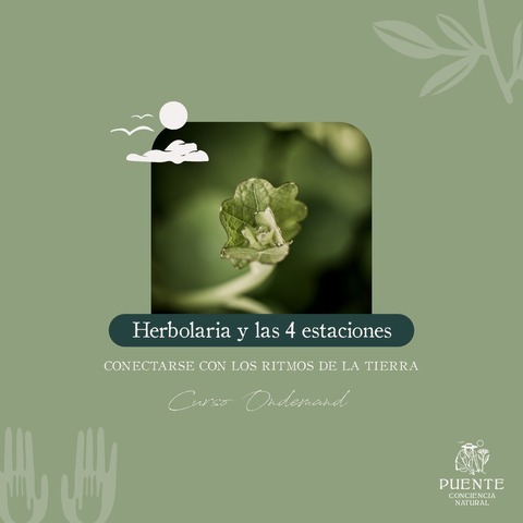 Herbolaria y las 4 estaciones