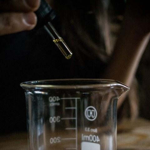 Aceites esenciales e Hidrolatos