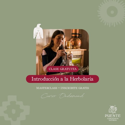 Masterclass - Introducción a la Herbolaria 