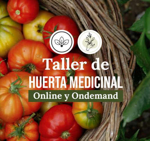Taller huerta medicinal