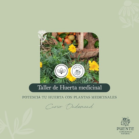 Taller huerta medicinal