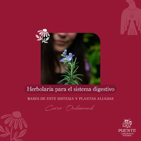 Herbolaria aplicada al sistema digestivo