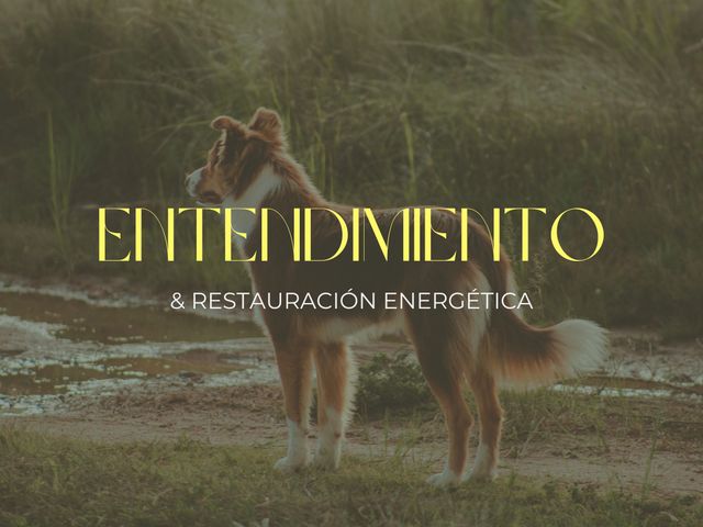 Entendimiento & Restauración energética