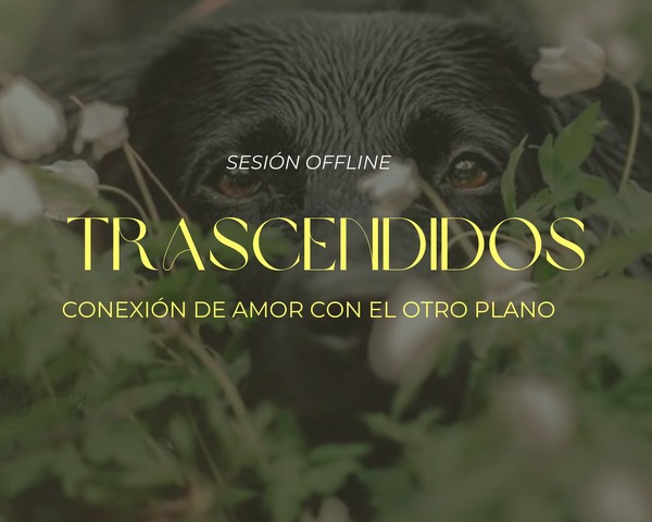 Animales trascendidos • Conexión de amor con el otro plano