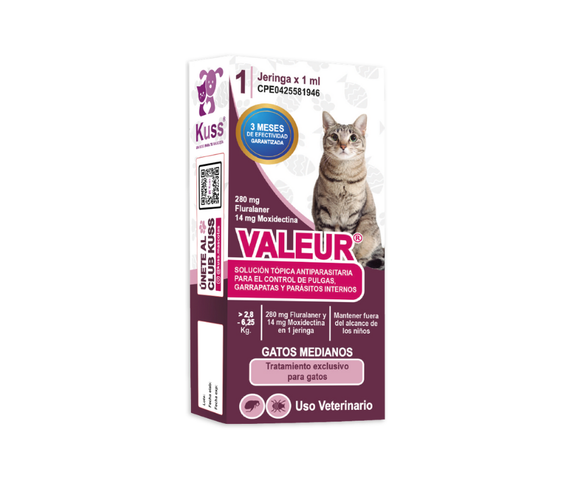Valeur para gatos de 2.8-6.25kg
