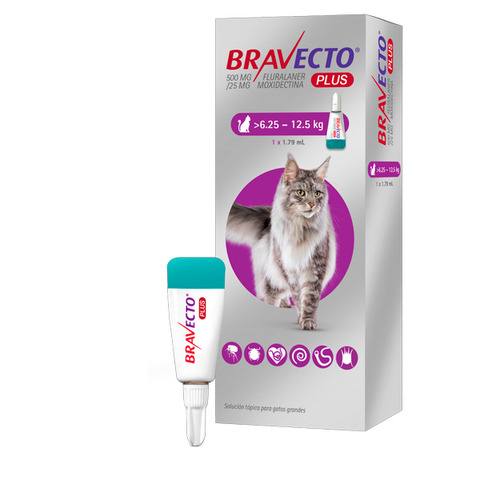 Bravecto Plus para gatos de 6.25 a 12.5kg