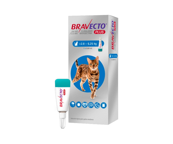 Bravecto Plus para gatos de 2.8 a 6.25kg