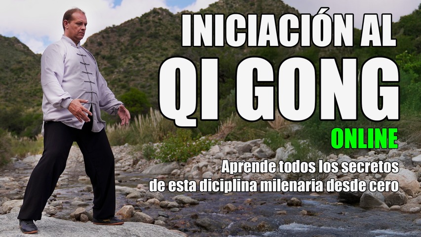 INICIACIÓN AL QI GONG