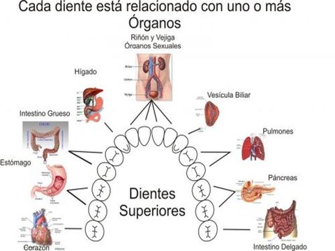 Atención un Diente puede ocasionar Trastornos a distancia y viceversa